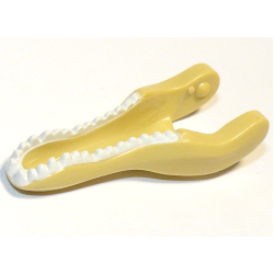 Dinosaur Jaw Lower Baryonyx / Spinosaurus with White Teeth Pattern Dinosaur Jaw Lower Baryonyx / Spinosaurus with White Teeth Pattern