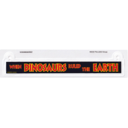 Plastic Rectangle with Red and Yellow 'WHEN DINOSAURS RULED THE EARTH' on Black Background Pattern
