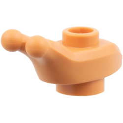 Snail Body Snail Body