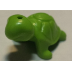 Turtle, Friends Style