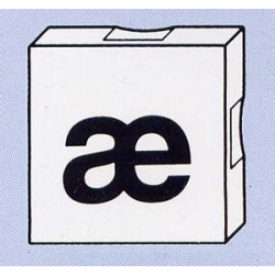 Duplo, Tile 2 x 2 with Black Lowercase Letter æ Pattern