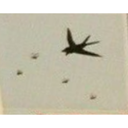 Duplo, Tile 2 x 2 x 1 with Farming Mosaic Picture 07 Pattern Duplo, Tile 2 x 2 x 1 with Farming Mosaic Picture 07 Pattern