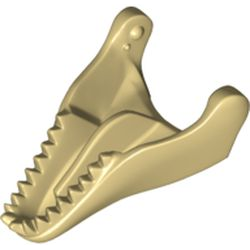 Dinosaur Jaw Lower Tyrannosaurus rex