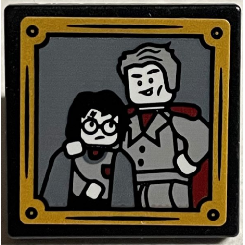 Деталь LEGO 15210pb114 Road Sign 2 x 2 Square with Open O Clip with Gilderoy Lockhart Posing with Harry Potter and Gold Frame Pattern (Sticker) - Set 76389