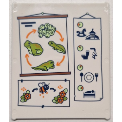 Glass for Window 1 x 6 x 6 Flat Front with Lime and Yellowish Green Frogspawn, Tadpoles and Frog Life Cycle with Orange Arrows, Flowers, Bee and Black Daily Plan Pictures Pattern
