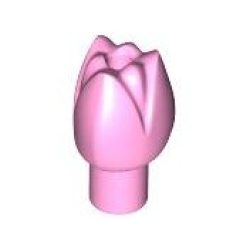 Plant Flower Tulip with Bar and Small Pin Hole