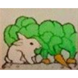 Duplo, Tile 2 x 2 x 1 with Outdoors Mosaic Picture 13 Pattern