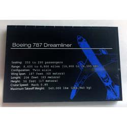 Stickered Assembly 12 x 8 x 2/3 with 'Boeing 787 Dreamliner' Pattern (Sticker) - Set 10177 - 2 Plate 4 x 12, 12 Tile 1 x 8