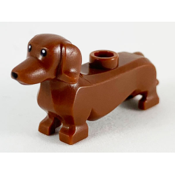 Dog, Dachshund with Black Eyes and Nose Pattern