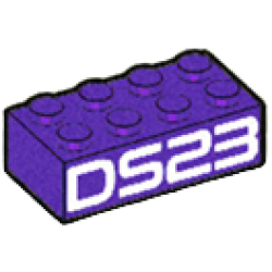 Brick 2 x 4 with White 'DS23' Pattern