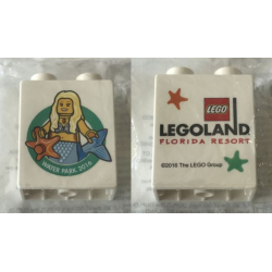 Duplo, Brick 1 x 2 x 2 with Waterpark 2016 Girl LEGOLAND Florida Resort Pattern Duplo, Brick 1 x 2 x 2 with Waterpark 2016 Girl LEGOLAND Florida Resort Pattern