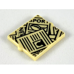 Glass for Window 1 x 2 x 2 Flat Front with Scattered Newspapers Pattern