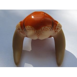 Minifigure, Headgear Head Top with Dark Tan SW Iktotchi Horns, Dark Orange Saesee Tiin Pattern Minifigure, Headgear Head Top with Dark Tan SW Iktotchi Horns, Dark Orange Saesee Tiin Pattern
