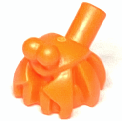 Hermit Crab, Bar on Back