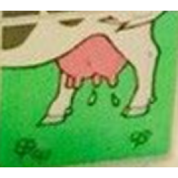 Duplo, Tile 2 x 2 x 1 with Farming Mosaic Picture 18 Pattern Duplo, Tile 2 x 2 x 1 with Farming Mosaic Picture 18 Pattern