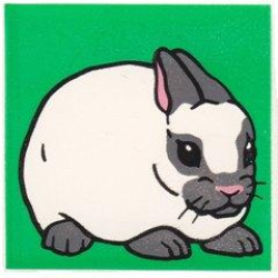 Duplo, Tile 2 x 2 x 1 with Rabbit Mosaic Picture 10 Pattern Duplo, Tile 2 x 2 x 1 with Rabbit Mosaic Picture 10 Pattern