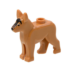 Dog, Alsatian / German Shepherd with Black Eyes, Nose, Blaze and Dark Brown Muzzle Pattern