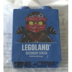 Duplo, Brick 1 x 2 x 2 with Kai LEGOLAND Discovery Center 2016 Pattern Duplo, Brick 1 x 2 x 2 with Kai LEGOLAND Discovery Center 2016 Pattern