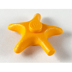 Starfish / Sea Star - Medium Orange