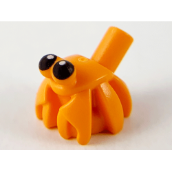Hermit Crab, Bar on Back with Black Eyes Pattern