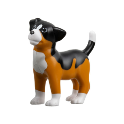 Dog, Scala, Puppy with Black Back and White Chest, Feet, and Muzzle Pattern (Sniff)