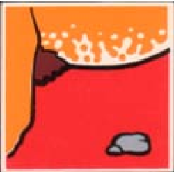 Duplo, Tile 2 x 2 x 1 with Lion Mosaic Picture 05 Pattern