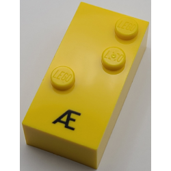 Brick, Braille 2 x 4 with 3 Studs with Black Capital Ligature Æ Pattern (dots-345 ⠜)