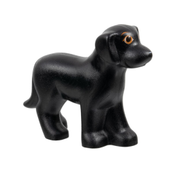 Dog, Belville, Standing with Orange Eyes and Eyebrows and White Nose Pattern