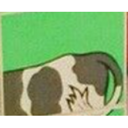 Duplo, Tile 2 x 2 x 1 with Farming Mosaic Picture 12 Pattern Duplo, Tile 2 x 2 x 1 with Farming Mosaic Picture 12 Pattern