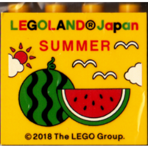 Деталь LEGO 30144pb246 Brick 2 x 4 x 3 with LEGOLAND Japan, 'SUMMER', Sun, Clouds, Birds, and Watermelon Pattern