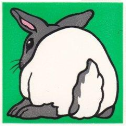 Duplo, Tile 2 x 2 x 1 with Rabbit Mosaic Picture 12 Pattern Duplo, Tile 2 x 2 x 1 with Rabbit Mosaic Picture 12 Pattern