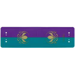Plastic Canopy with Purple and Dark Turquoise Stripes and Arendelle Crest Flowers Pattern