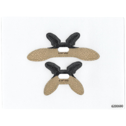 Plastic Wings with Parademon Webbed Pattern, Sheet of 2, Extended and Collapsed Wings