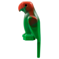 Bird, Parrot with Large Beak with Marbled Red Pattern