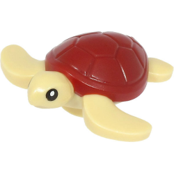 Sea Turtle, Baby with Black Eyes and Dark Red Shell Pattern