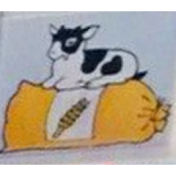 Duplo, Tile 2 x 2 x 1 with Farmhouse Mosaic Picture 18 Pattern Duplo, Tile 2 x 2 x 1 with Farmhouse Mosaic Picture 18 Pattern