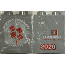 Duplo, Brick 1 x 2 x 2 with Kids' New Years Party LEGOLAND Florida Resort 2020 Pattern Duplo, Brick 1 x 2 x 2 with Kids' New Years Party LEGOLAND Florida Resort 2020 Pattern