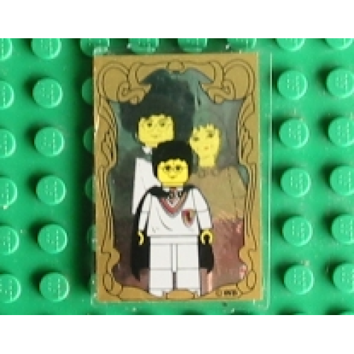 Деталь LEGO 2494pb09 Glass for Window 1 x 4 x 5 with Harry Potter, Mirror of Erised Pattern (Sticker) - Set 4721
