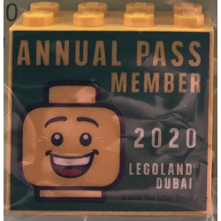 Brick 2 x 4 x 3 with LEGOLAND Dubai 2020 Annual Pass Member Pattern