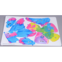 Plastic Skin Splash Koi Sheet 2 of 2 for Set 81002-1