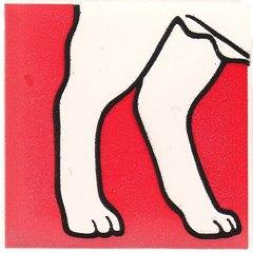 Деталь LEGO 2756pb304 Duplo, Tile 2 x 2 x 1 with Dog Mosaic Picture 16 Pattern