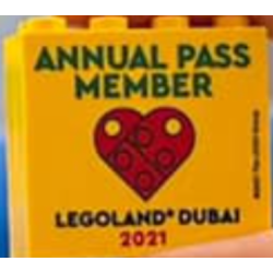 Brick 2 x 4 x 3 with LEGOLAND Dubai 2021 Annual Pass Member Pattern