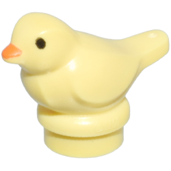 Bird, Small with Black Eyes and Orange Beak Pattern