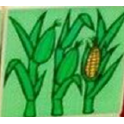 Duplo, Tile 2 x 2 x 1 with Farming Mosaic Picture 06 Pattern Duplo, Tile 2 x 2 x 1 with Farming Mosaic Picture 06 Pattern