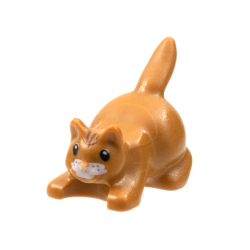 Cat, Crouching with Black Eyes, Dark Brown Stripes on Head, Nougat Nose and White Muzzle Pattern