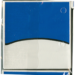 Duplo, Tile 2 x 2 x 1 with Duck Mosaic Picture 14 Pattern