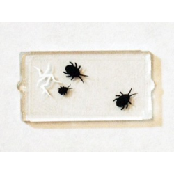 Glass for Window 1 x 2 x 3 with 3 Black Insects and Cracked Window Pattern (Sticker) - Set 75904