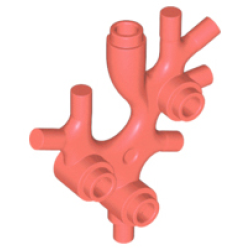 Plant Thallus / Seaweed / Coral - Coral Plant Thallus / Seaweed / Coral - Coral