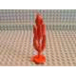 Plant, Tree Flat Cypress Painted with Hollow Base - Red Plant, Tree Flat Cypress Painted with Hollow Base - Red