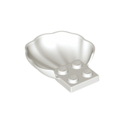 Clam / Scallop Shell with 4 Studs - White